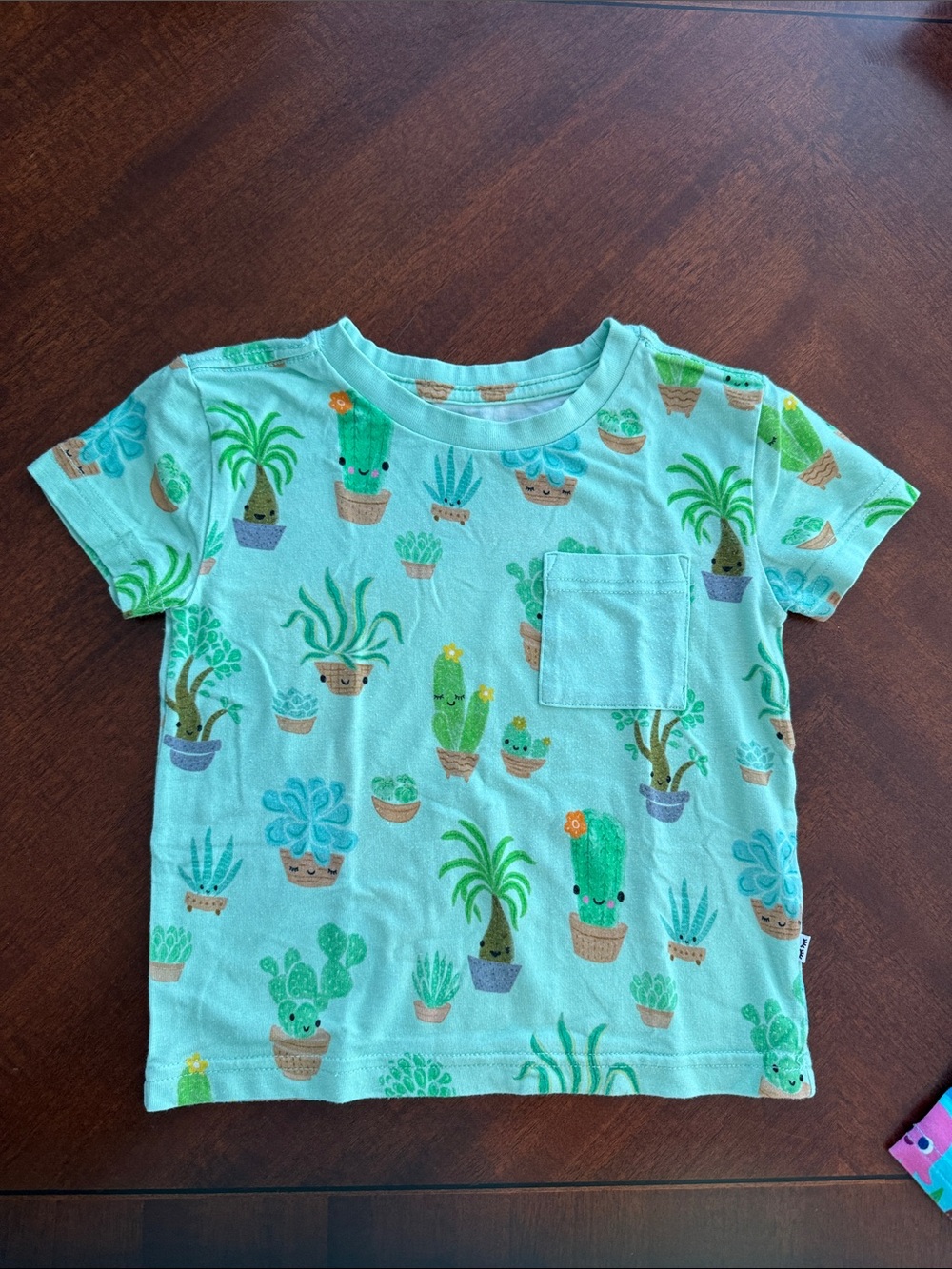 Little Sleepies Relaxed Pocket Tee - Sweet Succulents